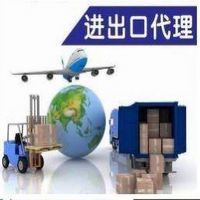 貨運代理與深港進出口 高效通關與物流解決方案