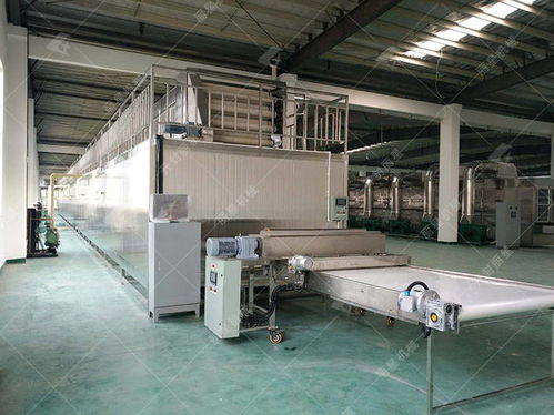 柔性材料加工設備 使用粉絲加工設備生產，這些關鍵問題不容忽視