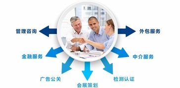 咨詢服務行業(yè)一體化管理解決方案